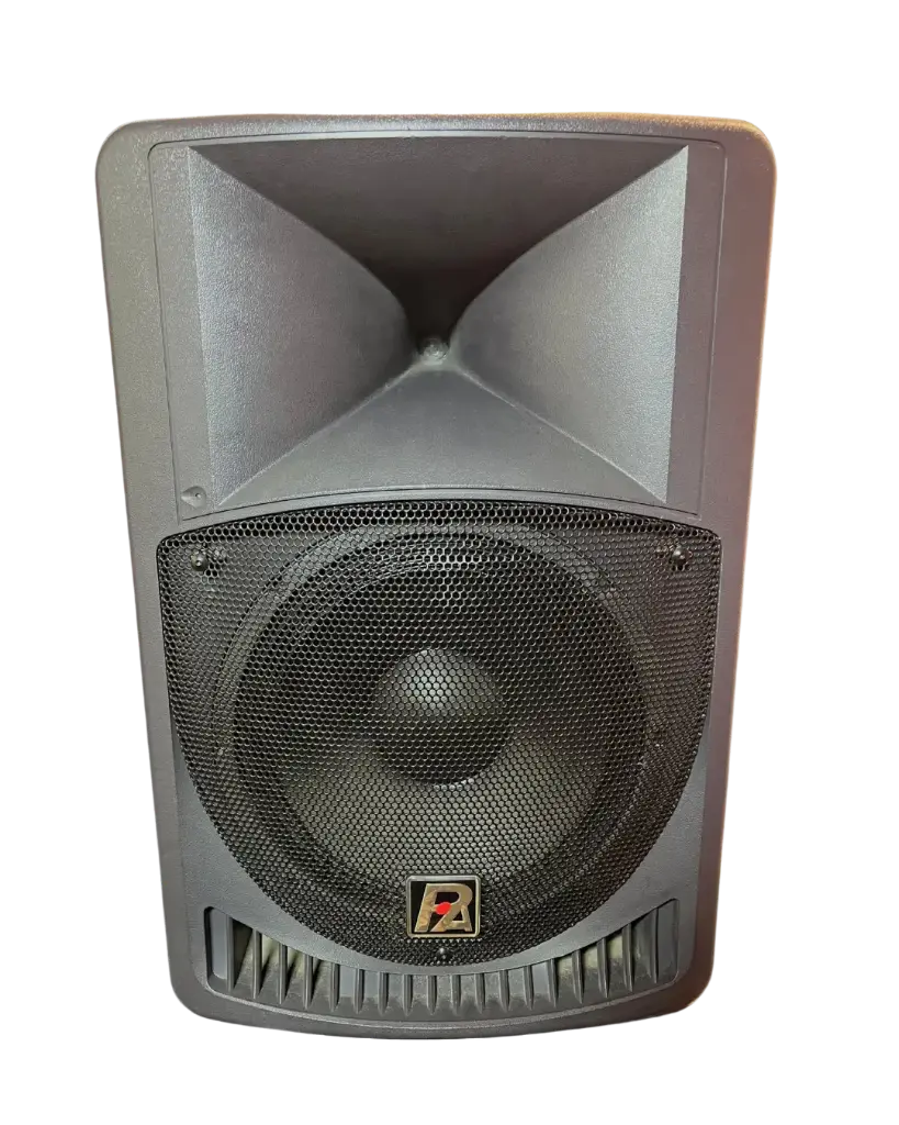 BAFLE PASIVO 12" PAUDIO NEODIMIO