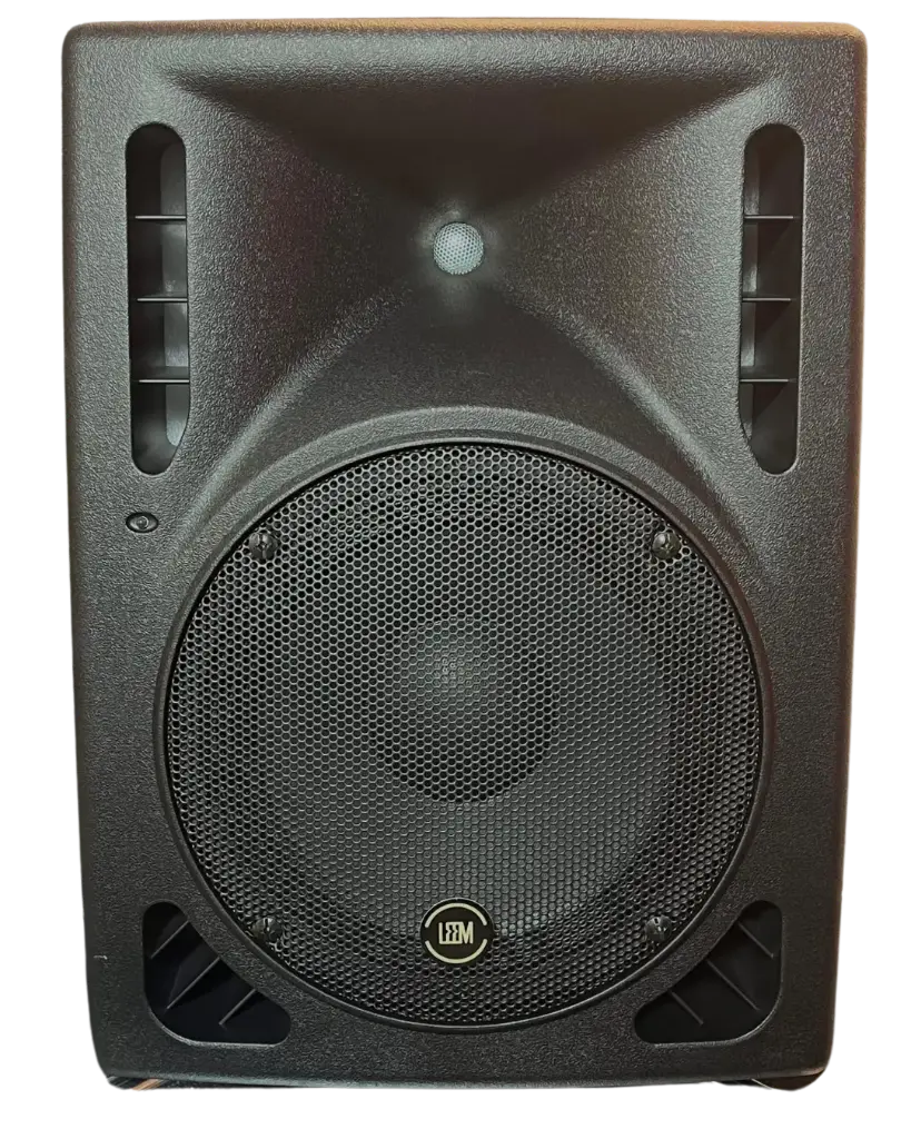 BAFLE PASIVO 10" LEEM CON BOCINA 