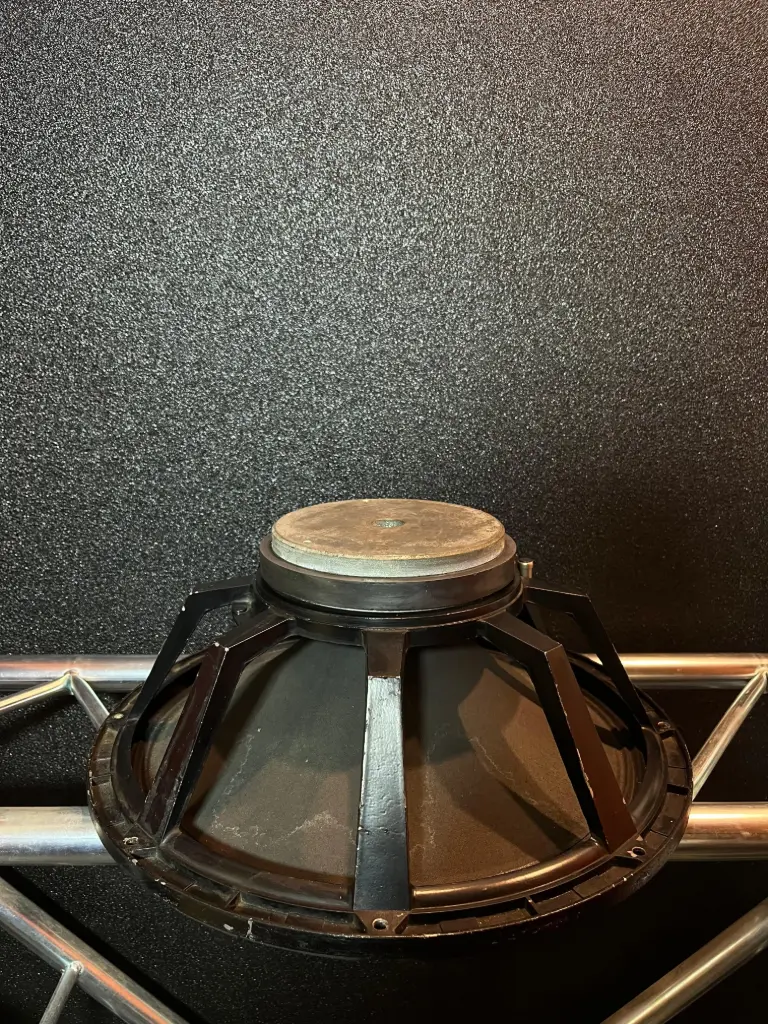 PARLANTE 18" EV 400W