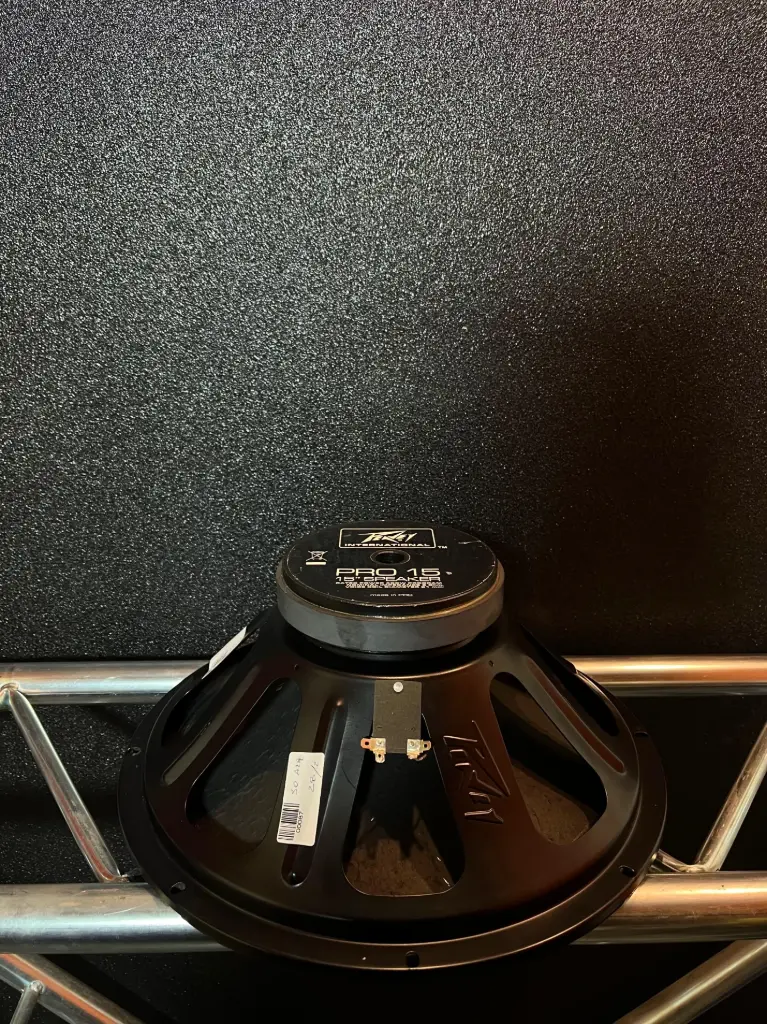 PARLANTE 15" PAVEY PRO 15