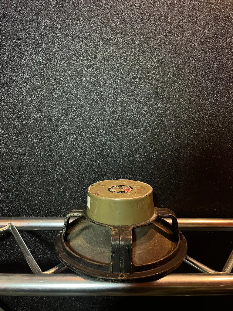 PARLANTE 12" T/LEEA