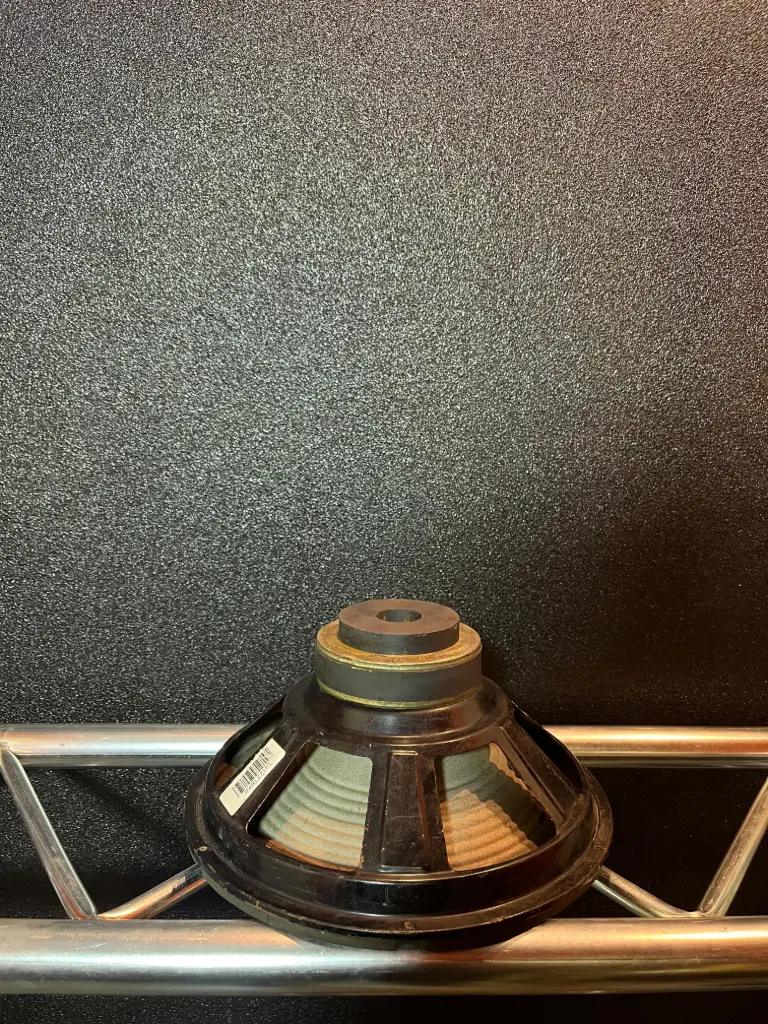 PARLANTE 12" S/M HOM 50W