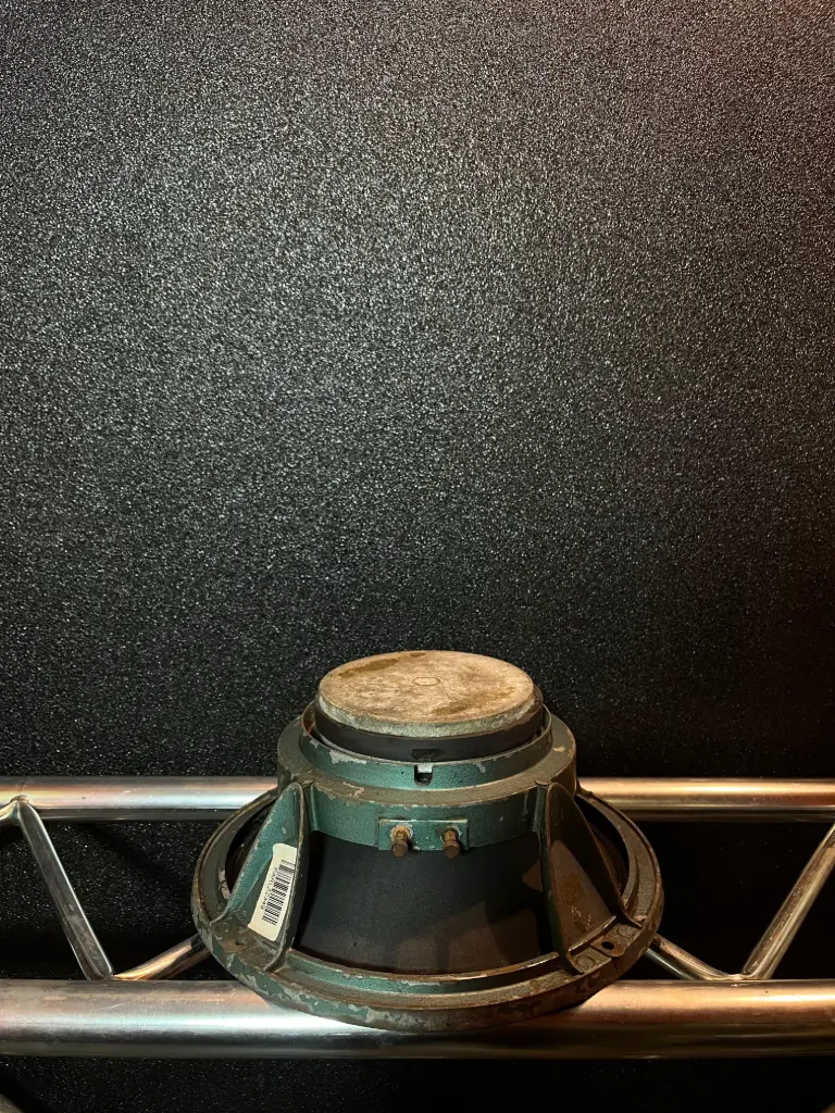 PARLANTE 12" S/M 100W