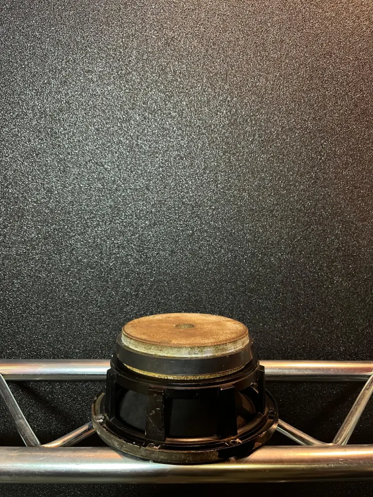 PARLANTE 10" EV