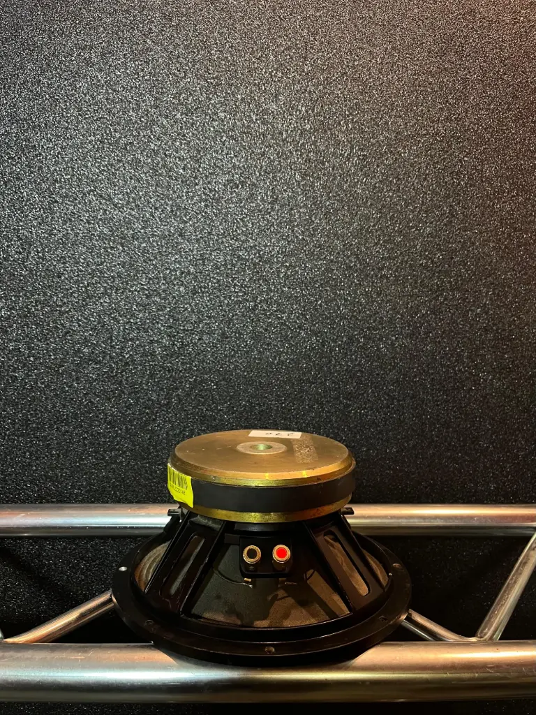 PARLANTE 10" S/M 300W