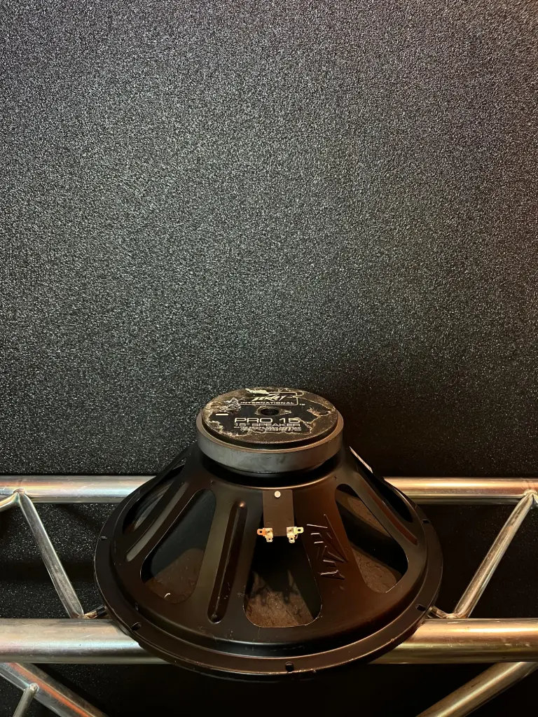 PARLANTE 15" PEAVEY PRO 15