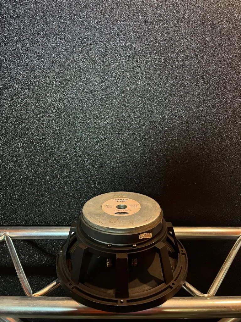 PARLANTE 12" LEE L300