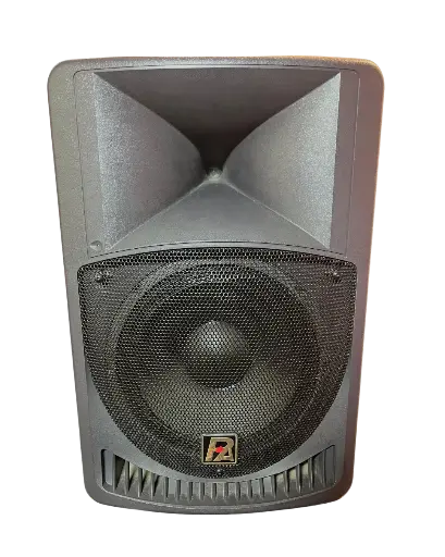 [PA X-12P] BAFLE PASIVO 12" PAUDIO NEODIMIO