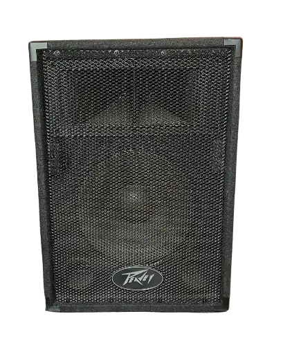 [PVI 10] BAFLE PASIVO 10" PEAVEY 