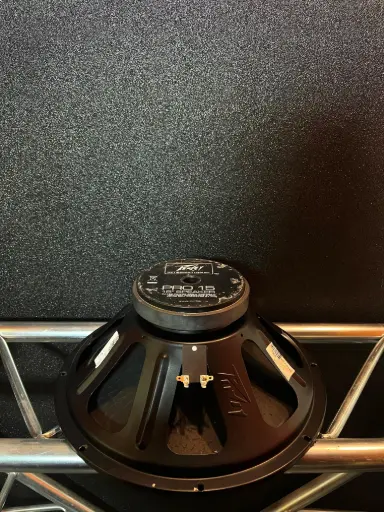 [OUT165] PARLANTE 15" PEAVEY PRO 15