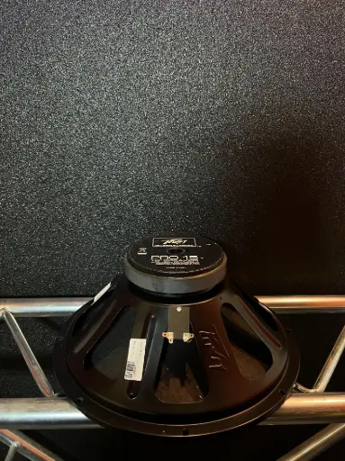 [OUT166] PARLANTE 15" PAVEY PRO 15