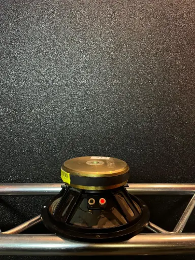 [OUT270] PARLANTE 10" S/M 300W