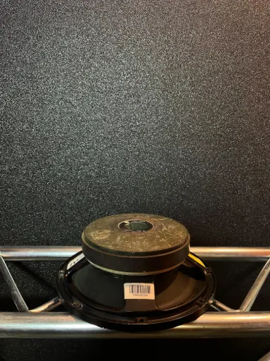 [OUT287] PARLANTE 12" L12P RCF