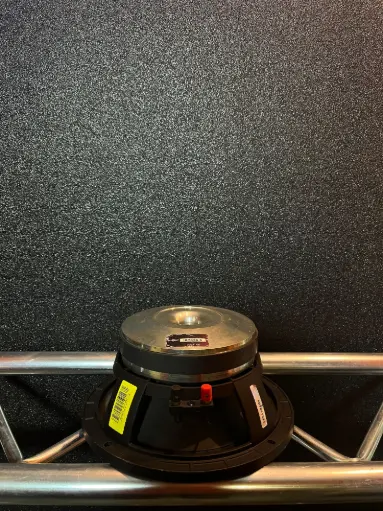 [OUT295] PARLANTE 10" BYC SPEAKER 10PS26-8